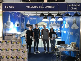 Vikstars Co., Limited প্রস্তুতকারকের উৎপাদন লাইন